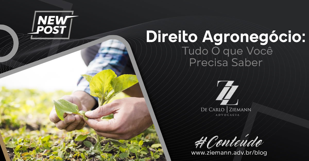 Advogado para Direito do Agronegócio: Tudo O que Você Precisa Saber